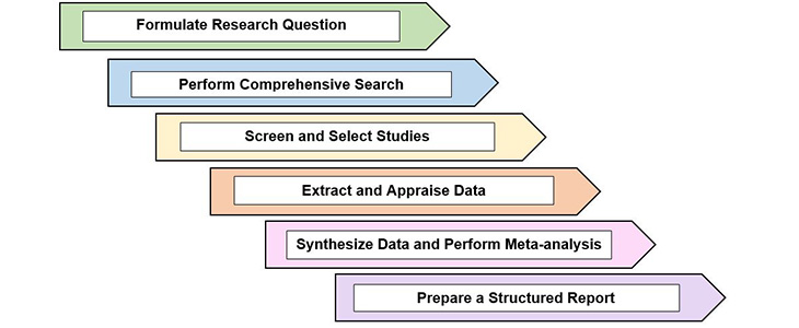Graphic showing the Systematic Review Process