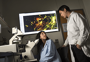 Julien Rossignol and Olivia Lossia talk in laboratory 