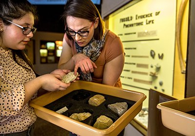 Exploring an exhibit at the Museum of Cultural and Natural History