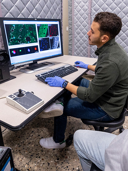A student examining expanded views of microbes on a screen connected to an electron microscope.