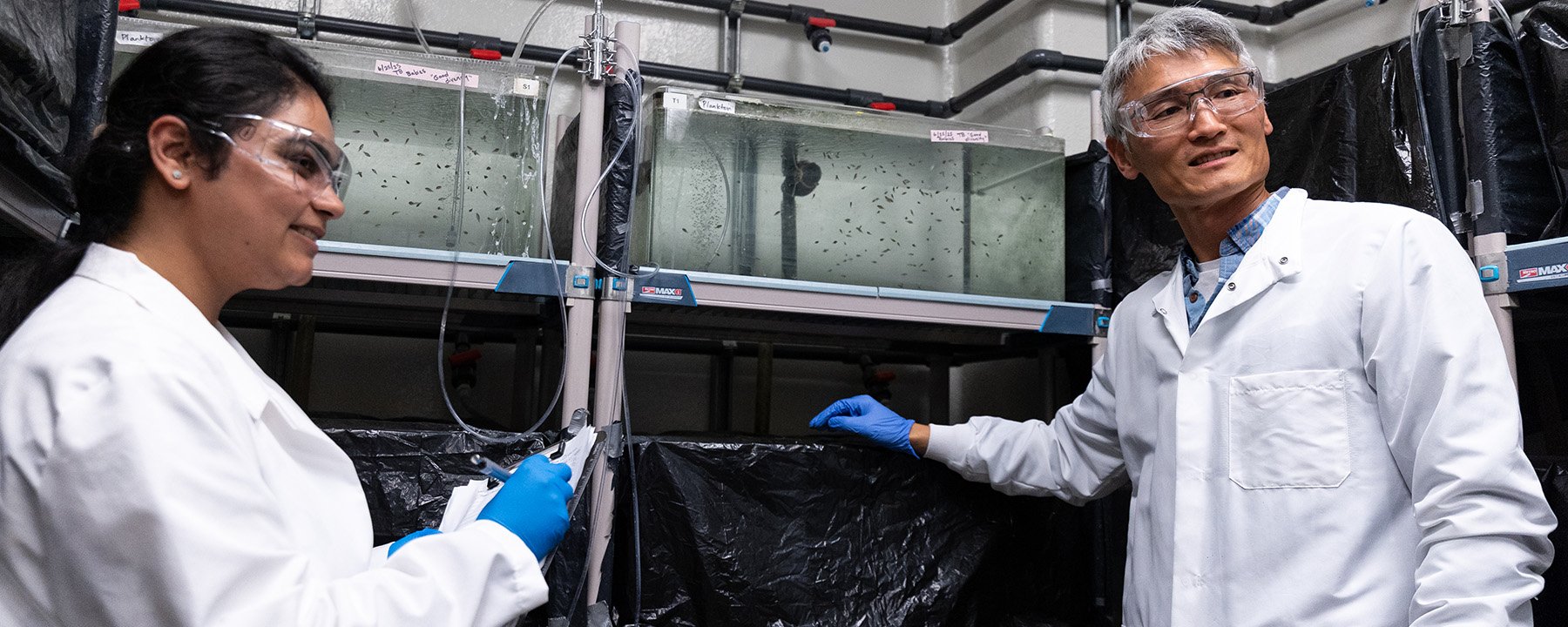 2 people in a white lab coats and blue gloves looking at fish in a tank.