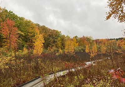 One of the many trails winding through Neithercut Woodland in the fall.