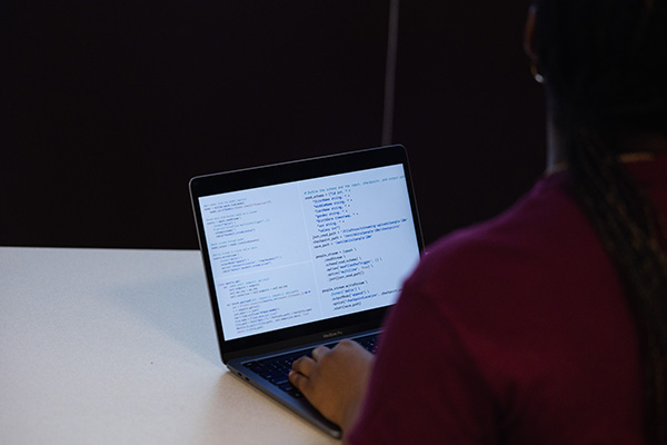 Data Sciences student examining data on a laptop computer.