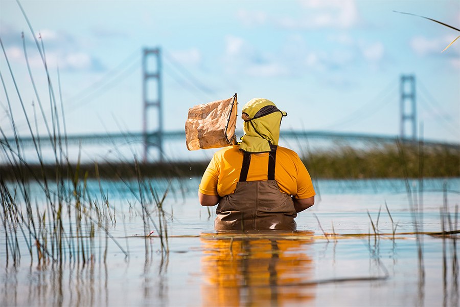 2020-134-074 Fish Research 900x600 research student in water at Mackinaw Bridge