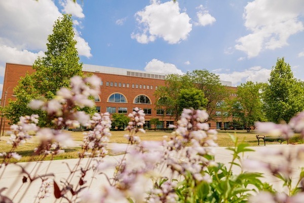 An exterior view of the CMU Library with large arched windows, framed by pink and white flowers on a sunny day.